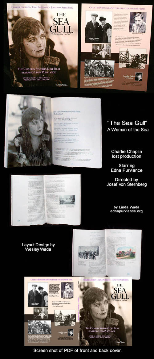 Sample images from Sea Gull